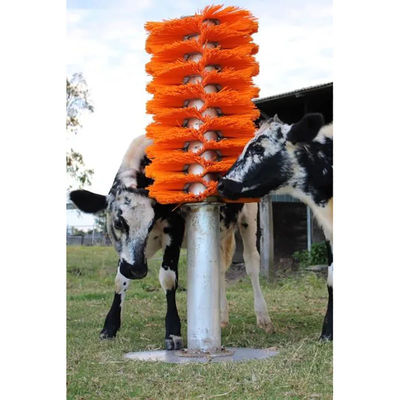 OEM Rinder Kuh Kratzer Bürste Körper Rücken Kratzer mit Stand