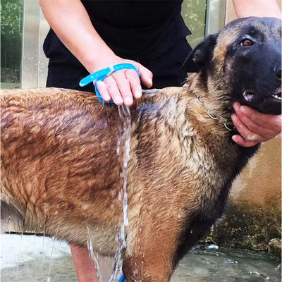 ODM Silikon-PET-Reinigungsbürste Selbstreinigung Katzenpflege-Bürste für Hunde